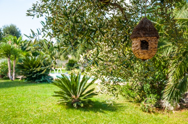 Kleine Villa Op Landgoed Met Zwembad In Puglia 5
