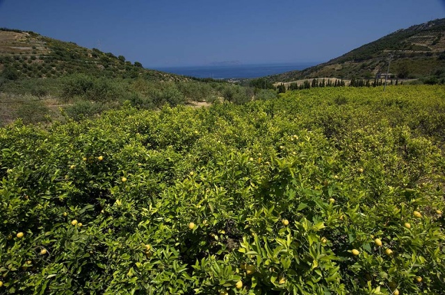 Agriturismo Sicilie Met Zwembad En Zeezicht Nabij Patti 8