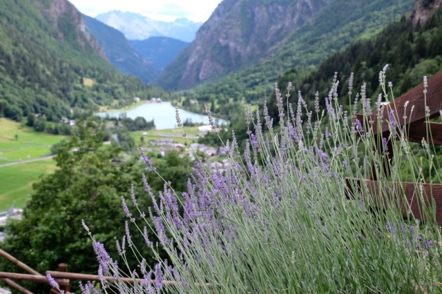 Ronalds Italie Val D Aosta Vakantie Chalet Voor De Zomer En Wintersport 2